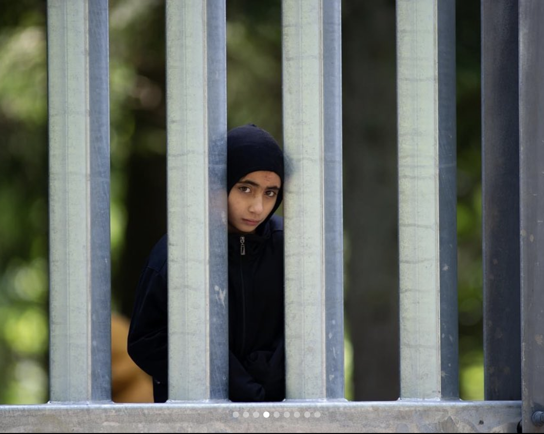 Youth peering through metal fence at border